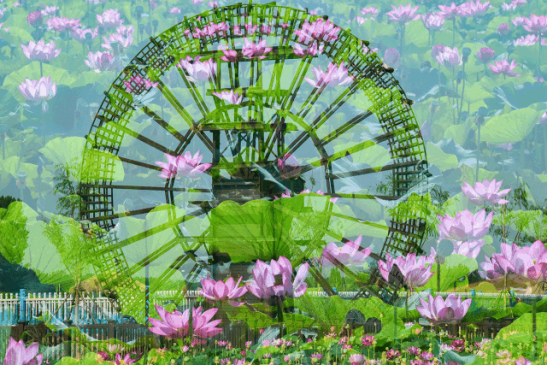 ½ñÄê»á ¡¤(ÖйúÇø)¹Ù·½ÍøÕ¾